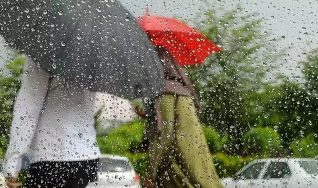 Meteoroloji Bursa için 20