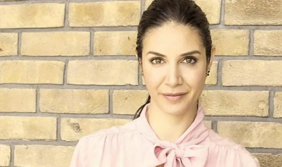 Oyuncu Ahu Yağtu, televizyon