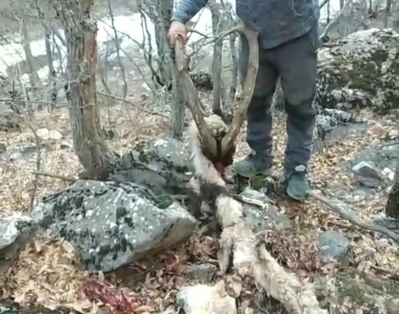 “Aynı ülkede nefes almaktan utanıyoruz”