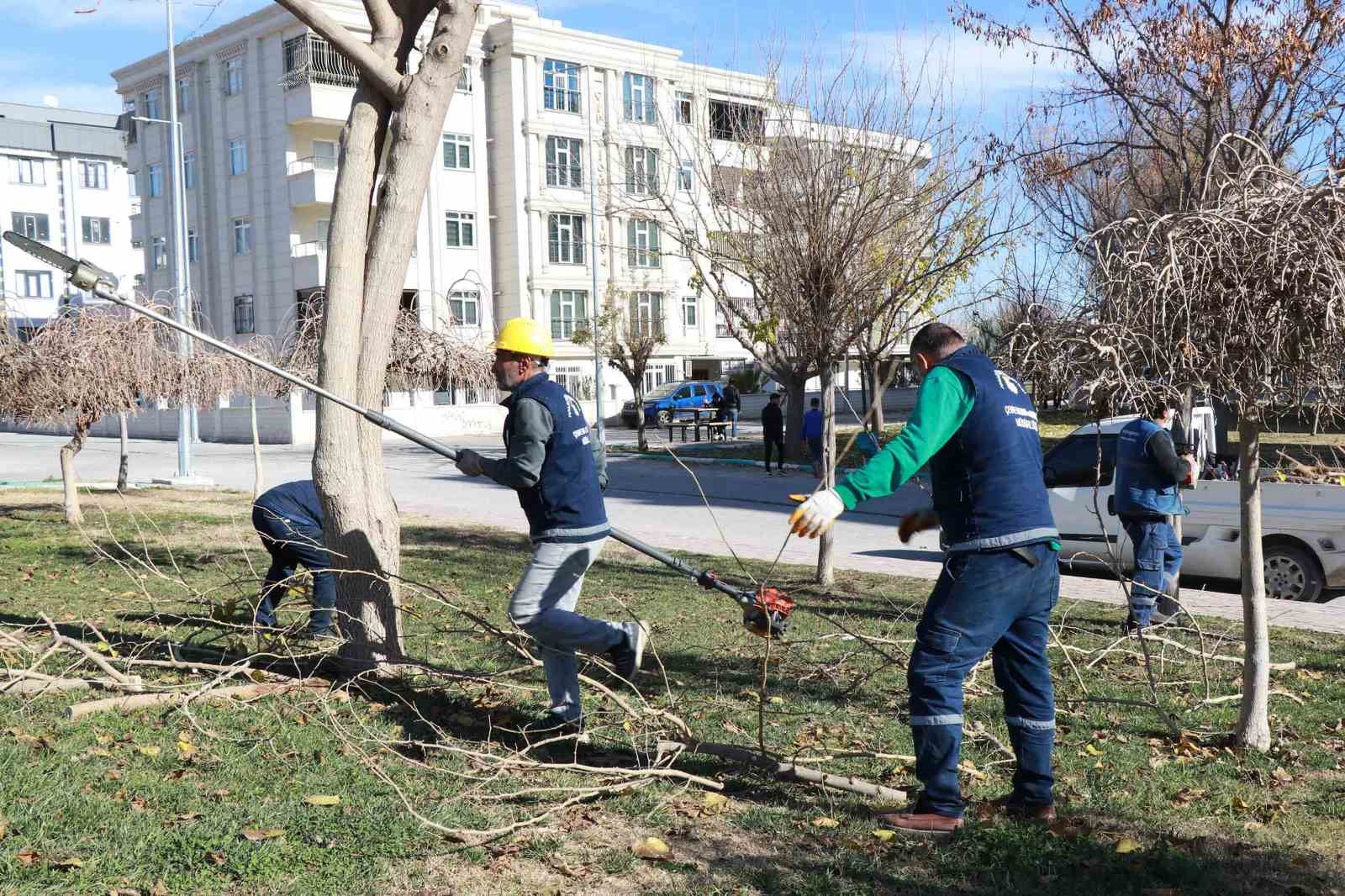 Peyzaj çalışmaları devam ediyor