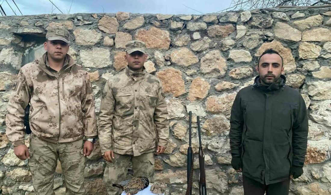 Şırnak’ın Güçlükonak ilçesinde kaçak