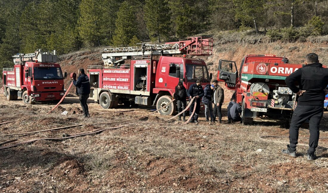 Bolu'da ormanlık alanda çıkan