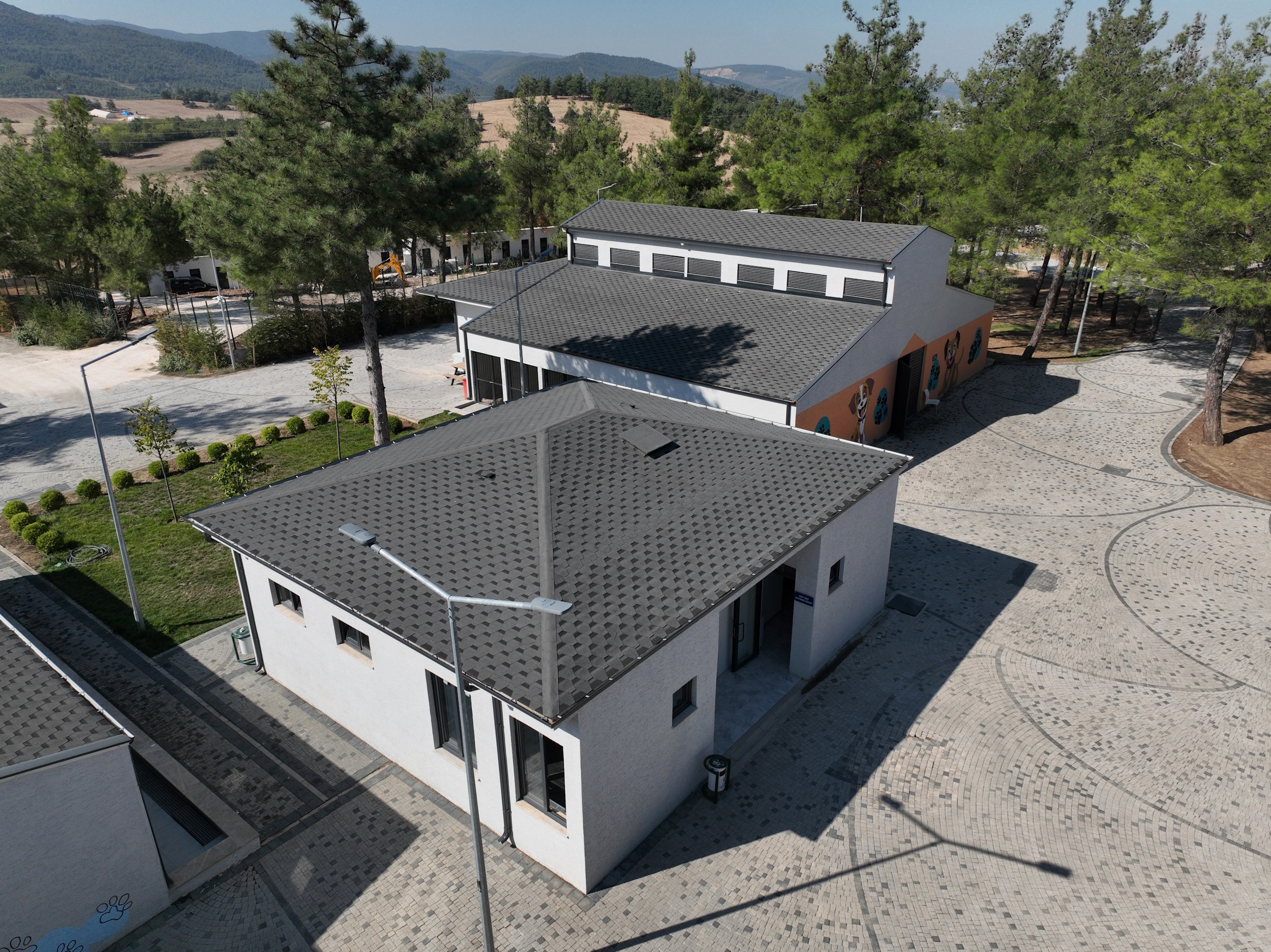 Can dostları için anlamlı proje