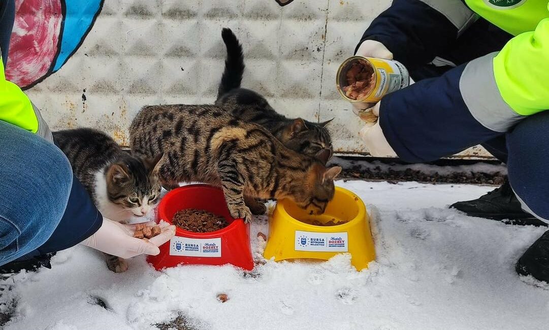 Bursa’da kar yağışı ile