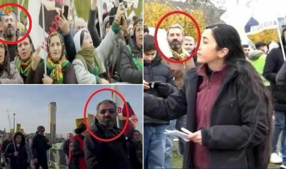 Milli İstihbarat Teşkilatı ve