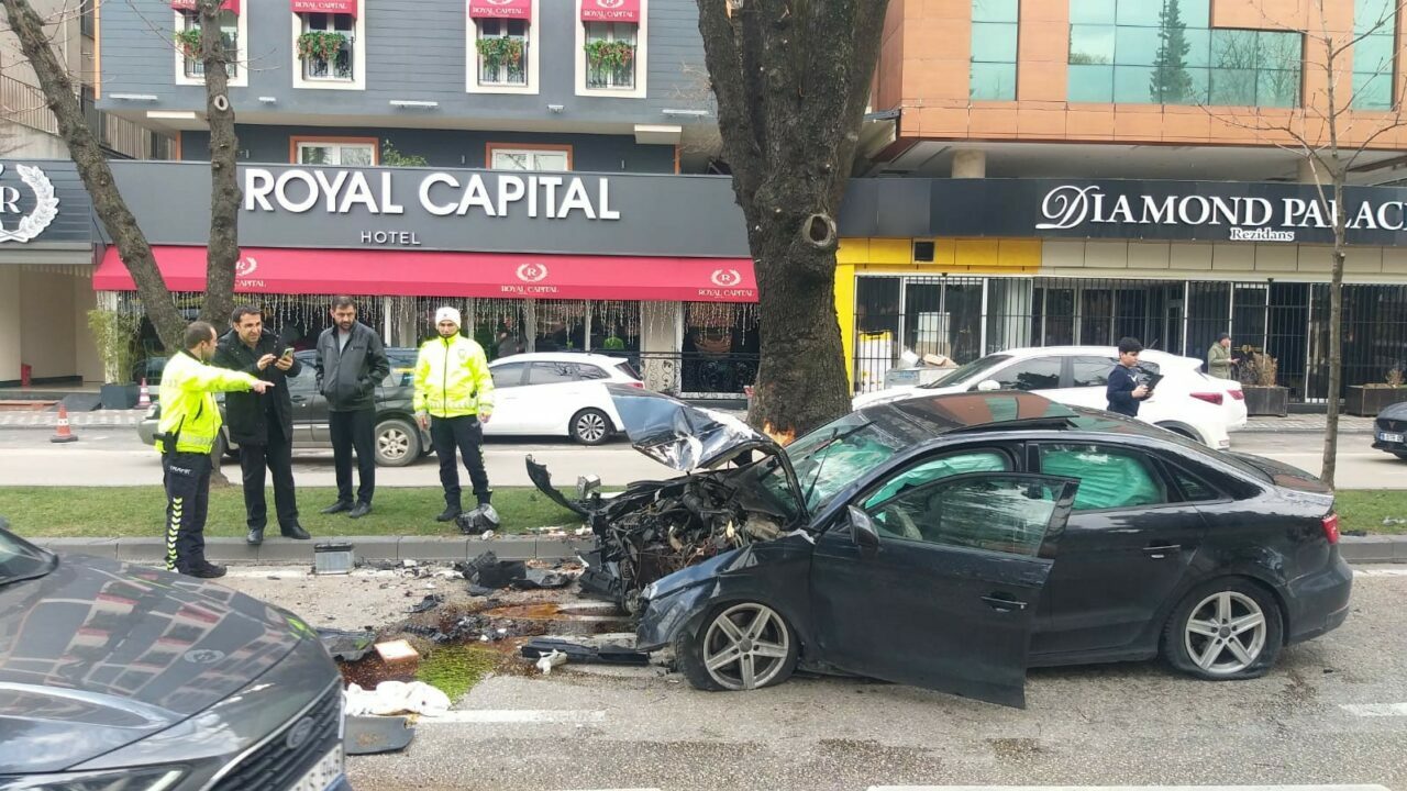 Sürücü ağaca çarptı!