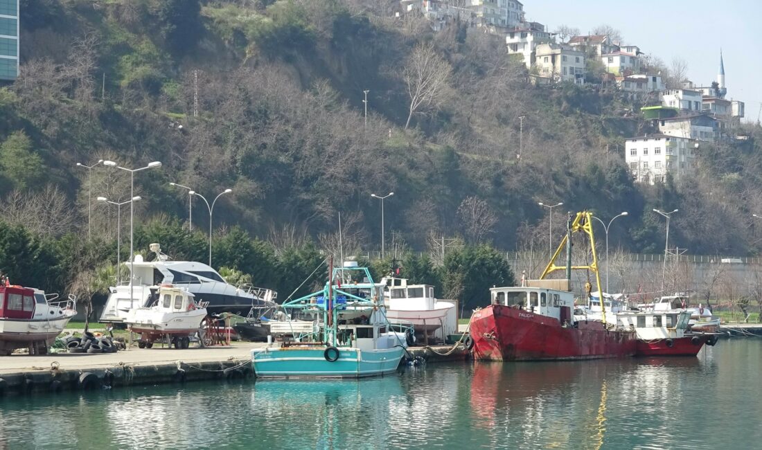 Samsun Su Ürünleri Kooperatifi