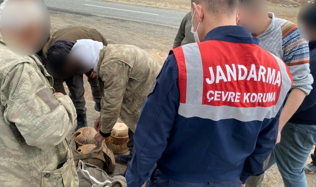Kars’ta jandarma kaçak avcılara