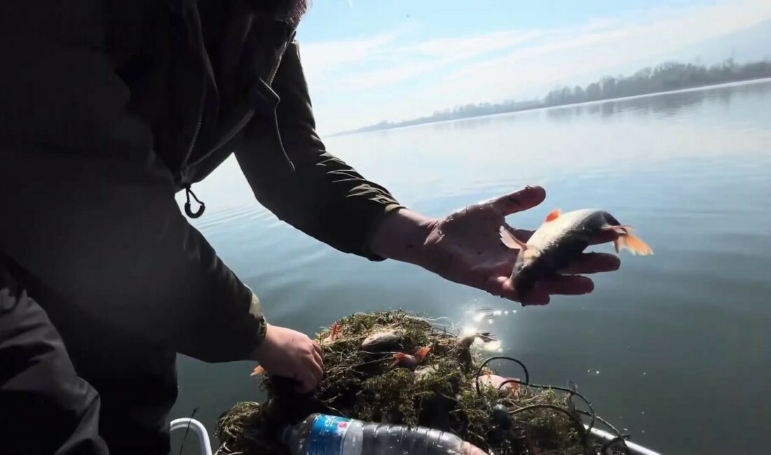 Sapanca Gölü'ne atılan metrelerce
