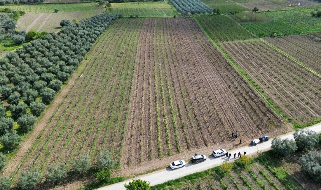 Bursa'nın İznik ilçesinde soğuk