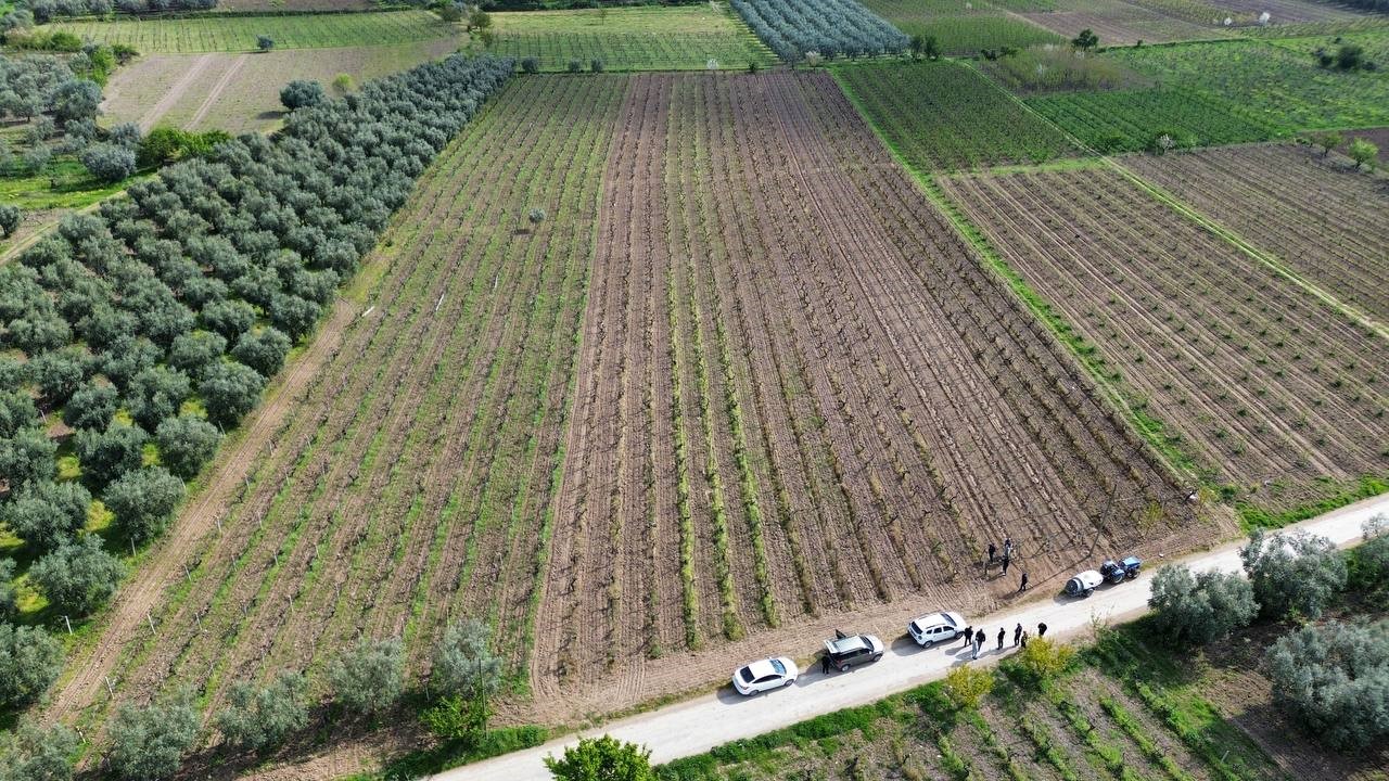 İznik Ovası’nı don vurdu