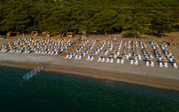 Kültür ve Turizm Bakanı