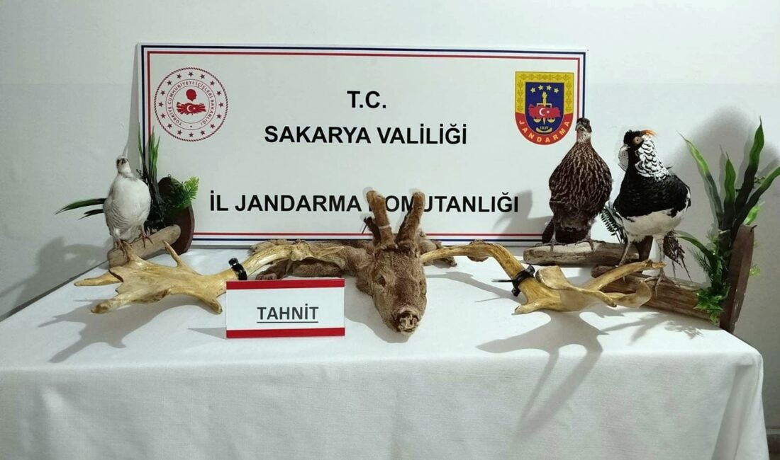 Sakarya'nın Geyve ilçesinde kaçakçılık