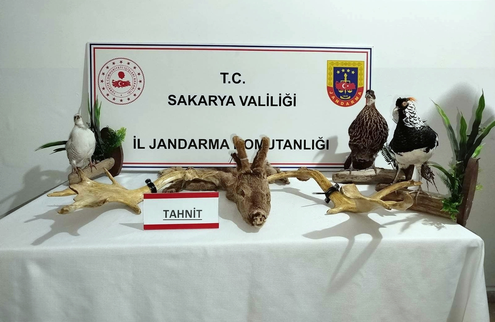 Hayvanat bahçesi gibi ev: Evinden çıkanlar şoka uğrattı!