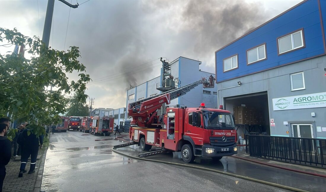 Bursa'nın Nilüfer ilçesi Çalı