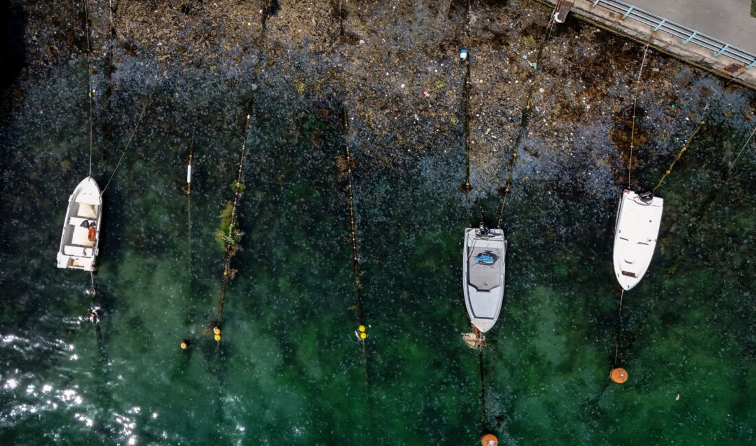 İstanbul Boğazı'nda deniz kirliliği