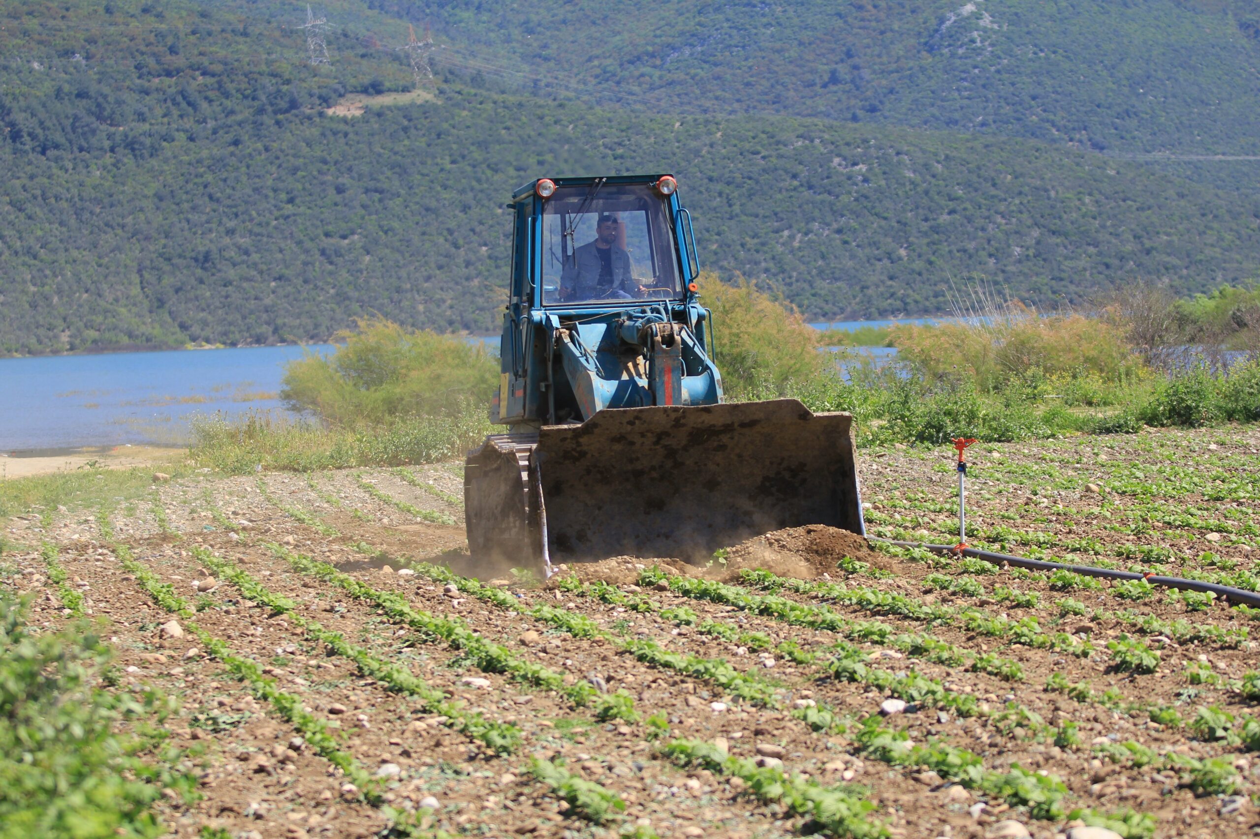 Gölbaşı’nda Tarım Krizi: DSİ Ekili Arazileri Yok Etti, Çiftçi Mağdur