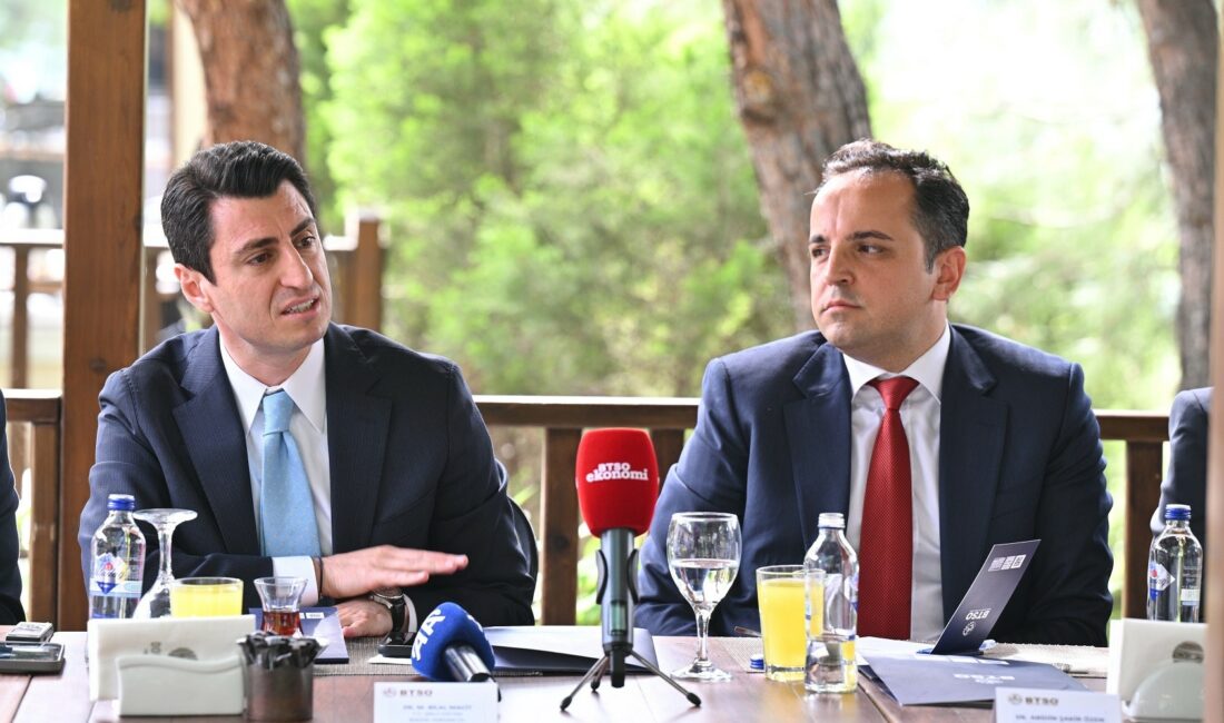 Milli Eğitim Bakan Yardımcısı
