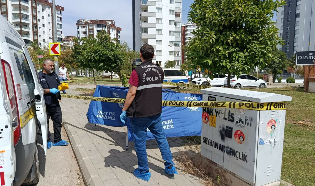 Adana'da sokak hayvanlarına vermek