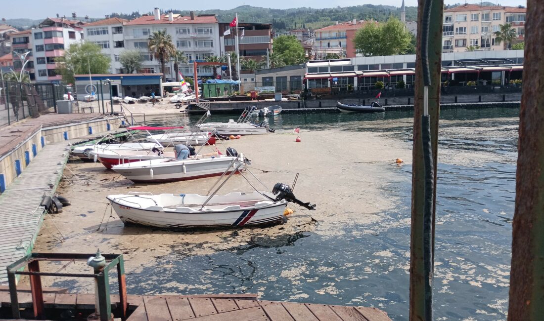Bursa'nın Gemlik Su Ürünleri