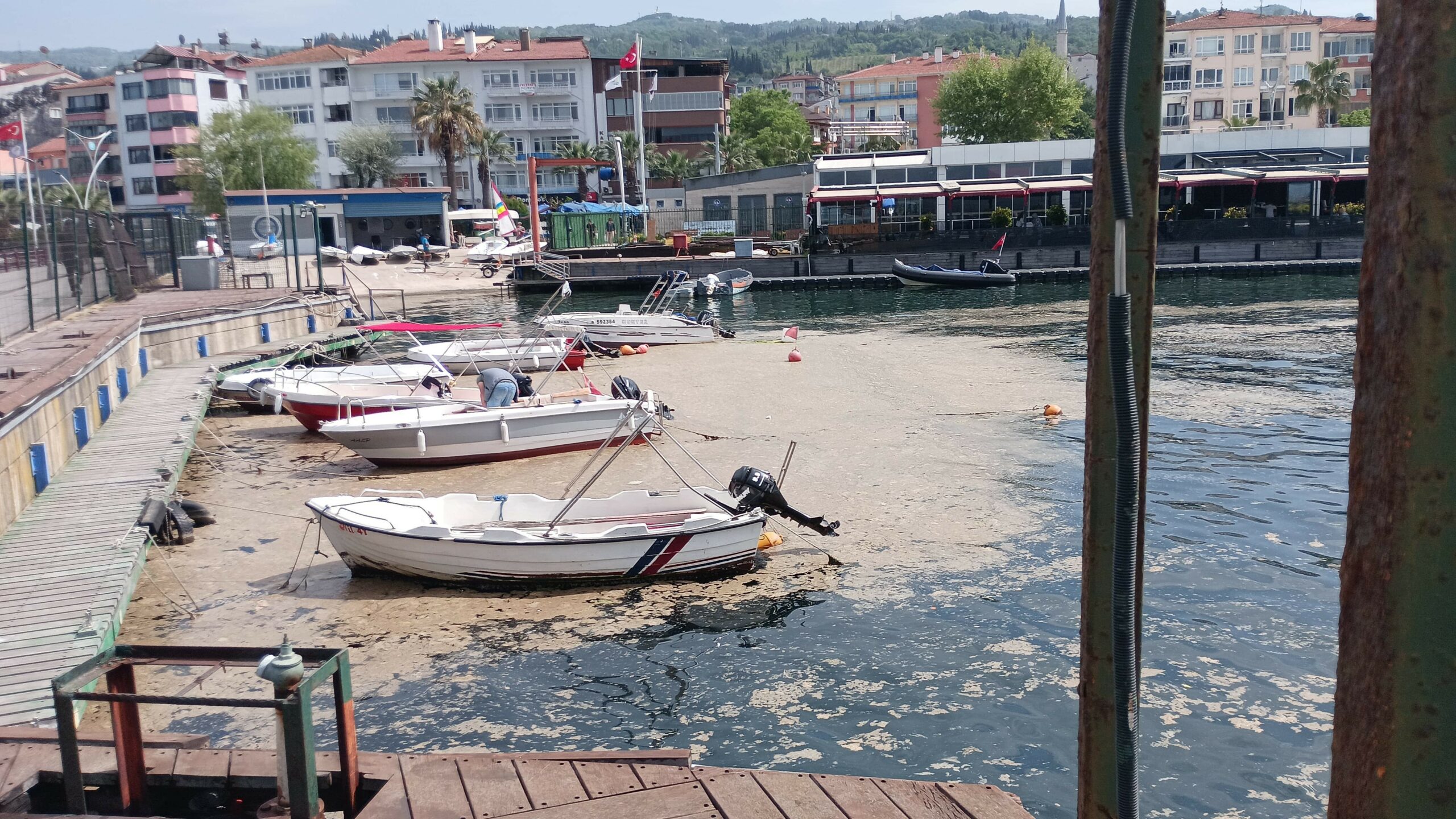Müsilaj balıkçılara ağır darbe vurdu…