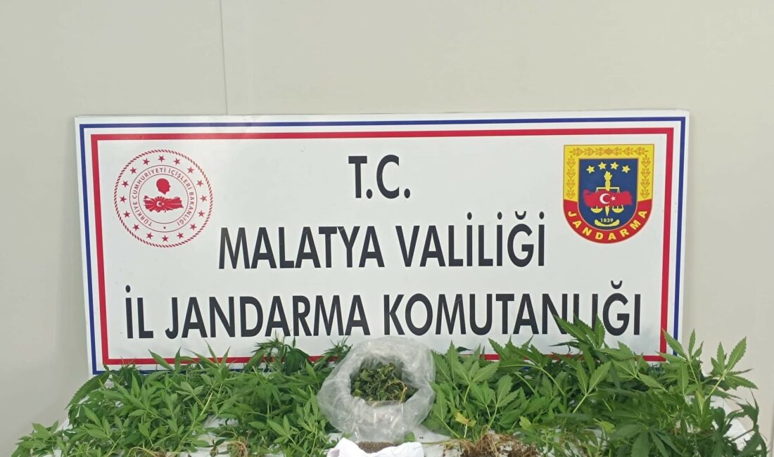 Malatya'da jandarma ekipleri tarafından