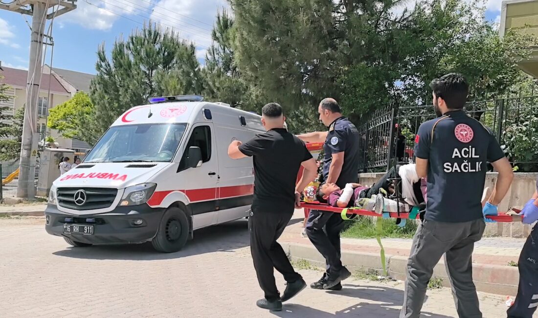 Bursa'nın İnegöl ilçesinde bahçe