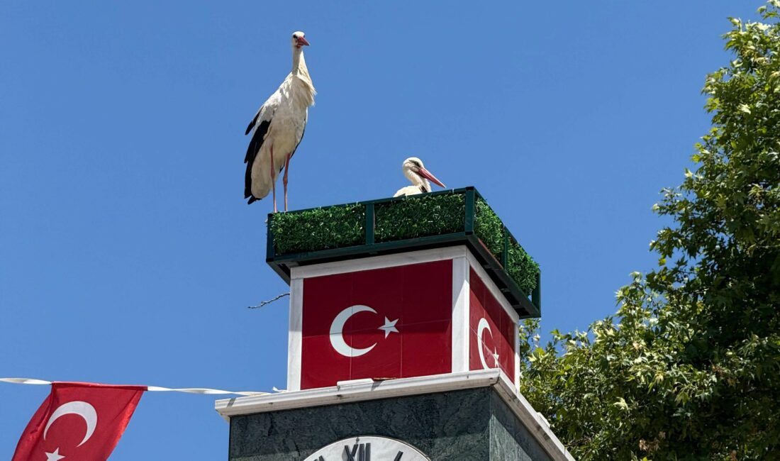 Bursa'nın İznik ilçesinde yürek