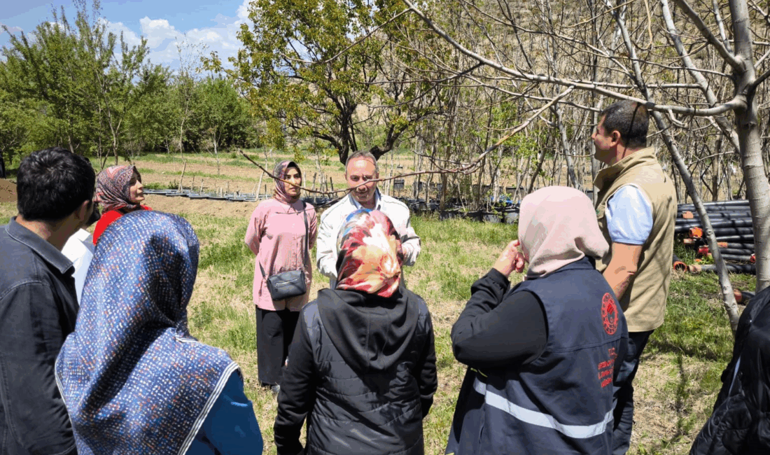 Erzincan’da Mart ayı içerisinde
