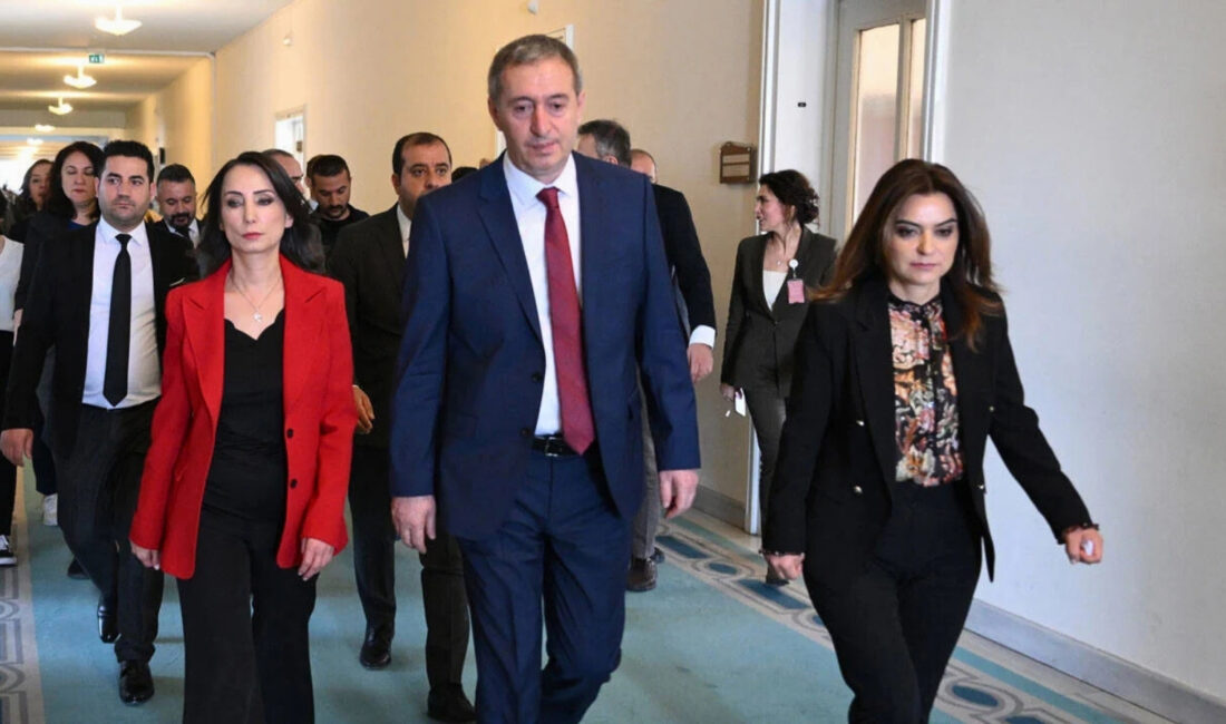 DEM Parti’den siyasi parti
