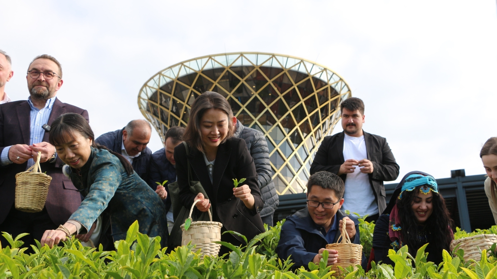Çin’den gelen akademisyenler Rize’de çay topladı