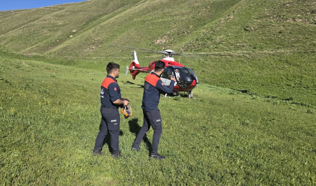 Van’ın Gevaş ilçesinde dağlık