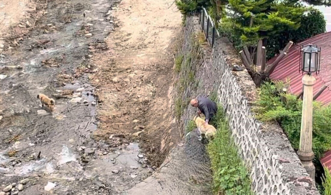 Bursa'nın Osmangazi ilçesinde derede