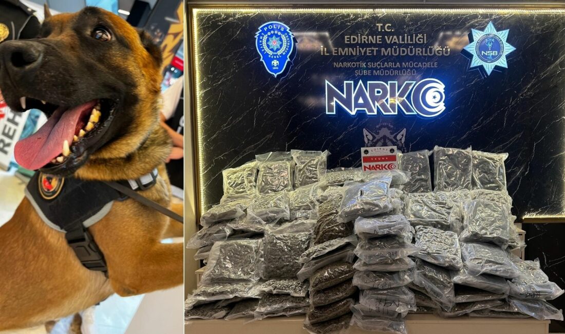 Edirne'de Hamzabeyli Sınır Kapısı'nda