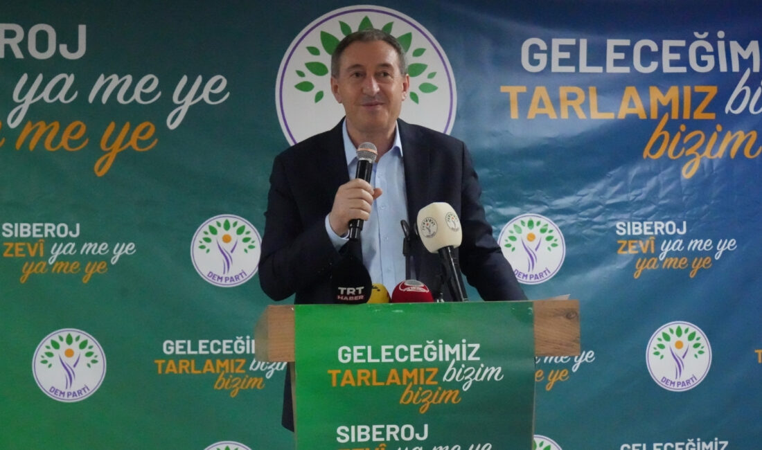 DEM Parti Eş Genel